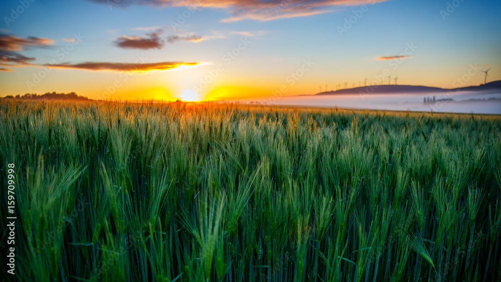 Fototapeta premium Misty Sunrise in Summertime