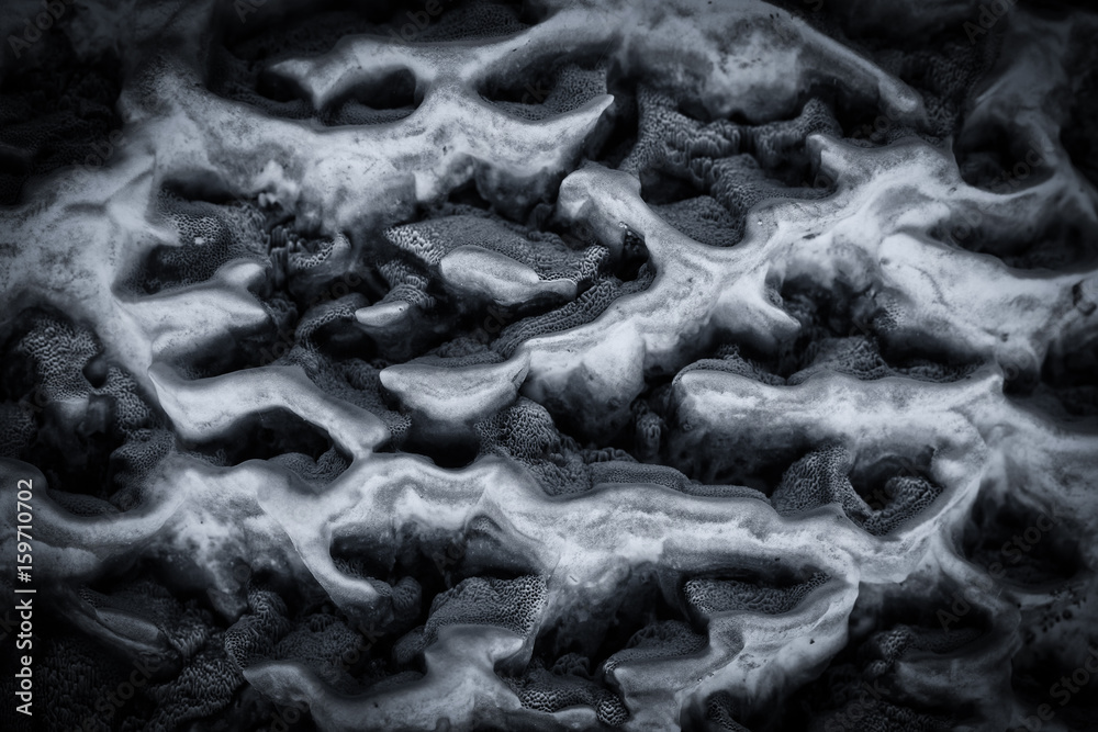 Abstract mushrooms pattern