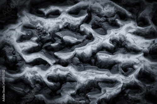 Abstract mushrooms pattern