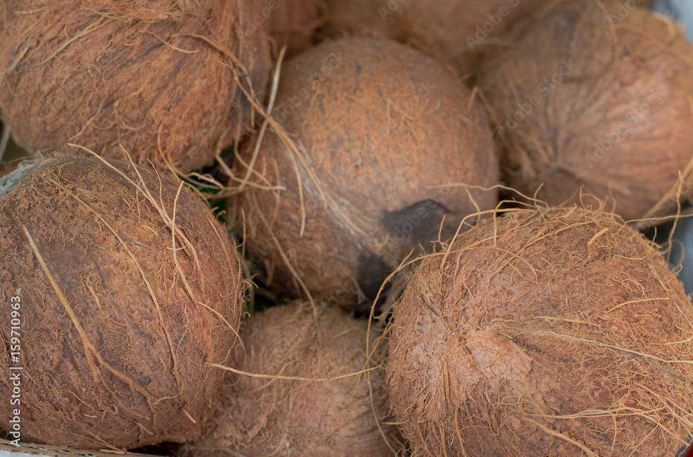 Coconuts for sale on market. Group of small whole fresh brown. Agriculture background. Top view. Close-up Coconuts for sale on market. Group of small whole fresh brown. Agriculture background. Top view. Close-up
