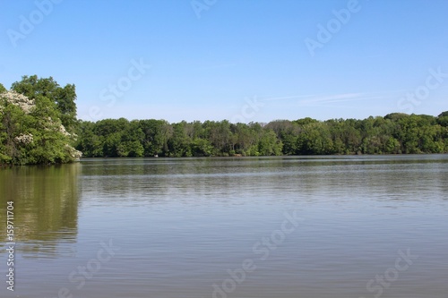 The large lake at the park on a sunny day.