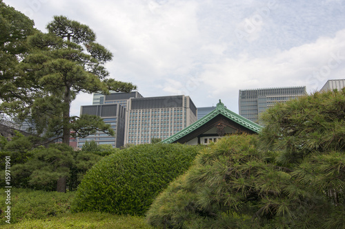 Giardini palazzo imperiale  Tokyo  Giappone  Estremo Oriente