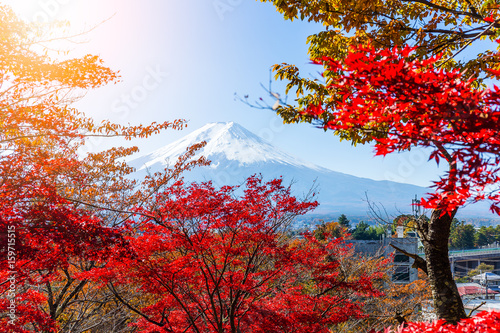 Mount Fuji and red maple tree photo