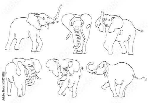 set of elephants line art on white. stylized drawing by hand of wild. vector illustration