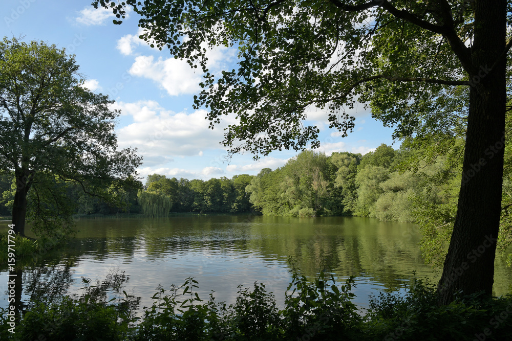 Obraz premium uferbepflanzung