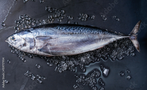 Raw fresh whole tuna fish on crushed ice over dark wet metal background. Top view with space