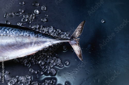 Photography Raw fresh whole tuna fish on crushed ice over dark wet metal background