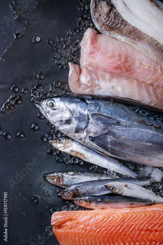 Photography Variety of raw fresh fish