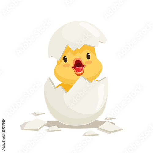 Funny yellow newborn chicken in broken egg shell, cute emoji character vector Illustration