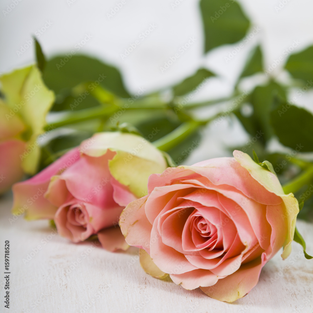 Fototapeta premium Pink roses on a wooden background.