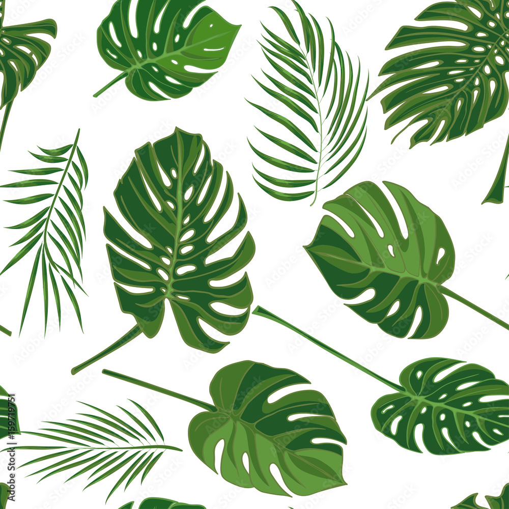Seamless hand drawn tropical pattern with palm leaves in green color, jungle exotic leaf on white background