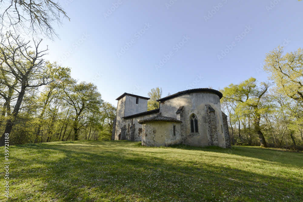 Eglise Saint Michel du Vieux Lugo XIe, Lugo, Parc naturel régional des Landes de Gascogne, Gironde