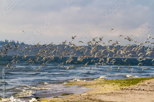 Canvastavla The end of the Kinburn spit, Mykolayiv region, Ukraine.
