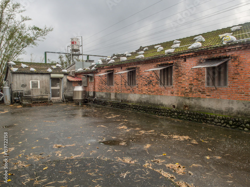 Картината върху платно Roof of home with bags