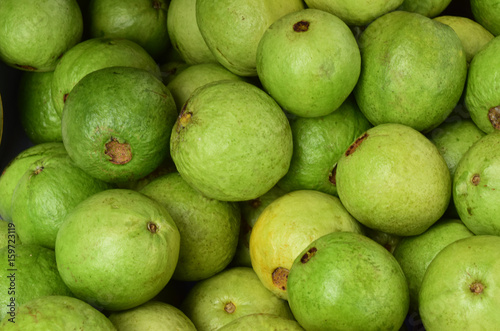 Fresh guava fruit in large quantities