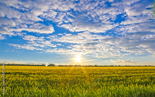 Bright sunset over the field. Clouds on a blue sky.