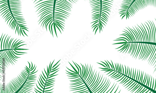 Time of summer vacation. Vector illustration of summer vacation background with palm trees. photo