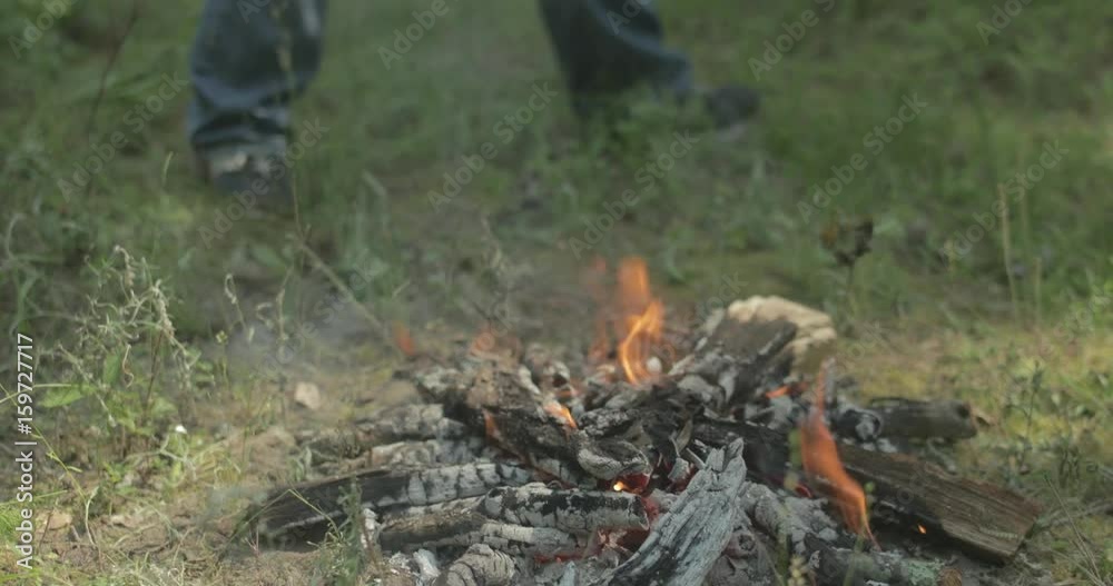 Campfire in forest burned down to hot coals Campfire in forest burned down to hot coals