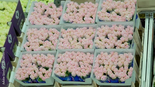 892_Top_view_of_the_fresh_roses_in_the_boxes.mov photo