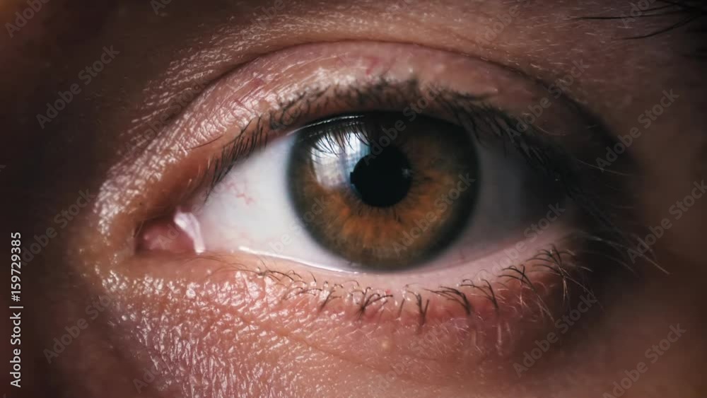 Human Eye Blinks Human Eye Blinks