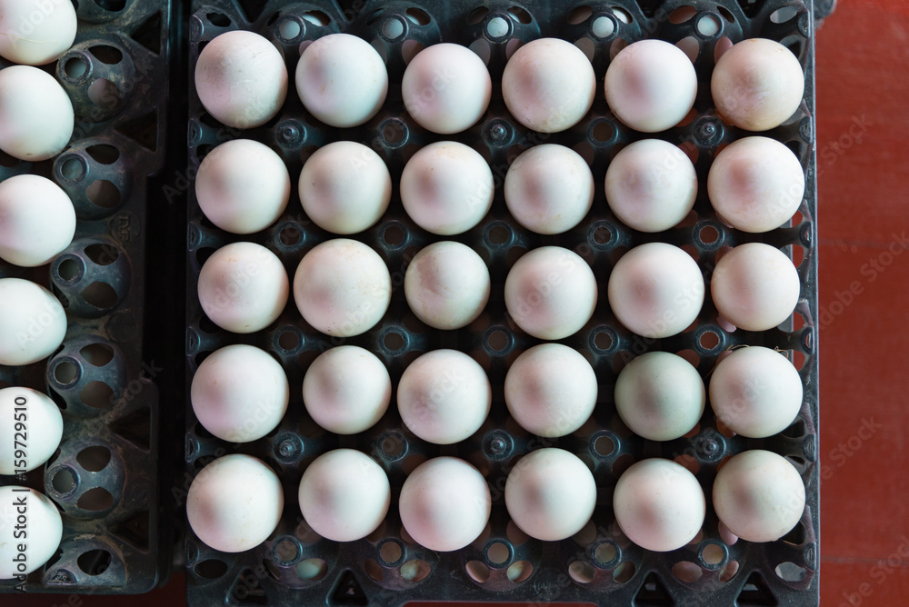 Eggs from duck farm in the package that preserved for sale. Eggs from duck farm in the package that preserved for sale.