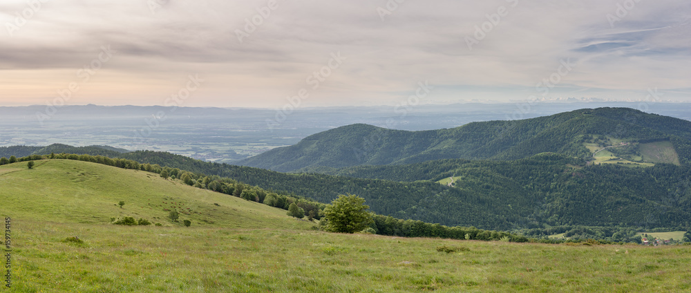 French countryside - Vosges. Sunrise in the Vosges with a view of the Rhine valley, the Black Forest (Germany) and the Alps in the background.