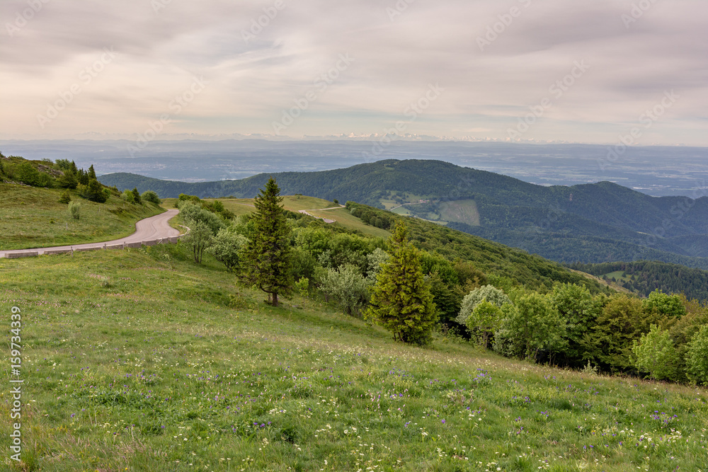 French countryside - Vosges. Sunrise in the Vosges with a view of the Rhine valley, the Black Forest (Germany) and the Alps in the background.