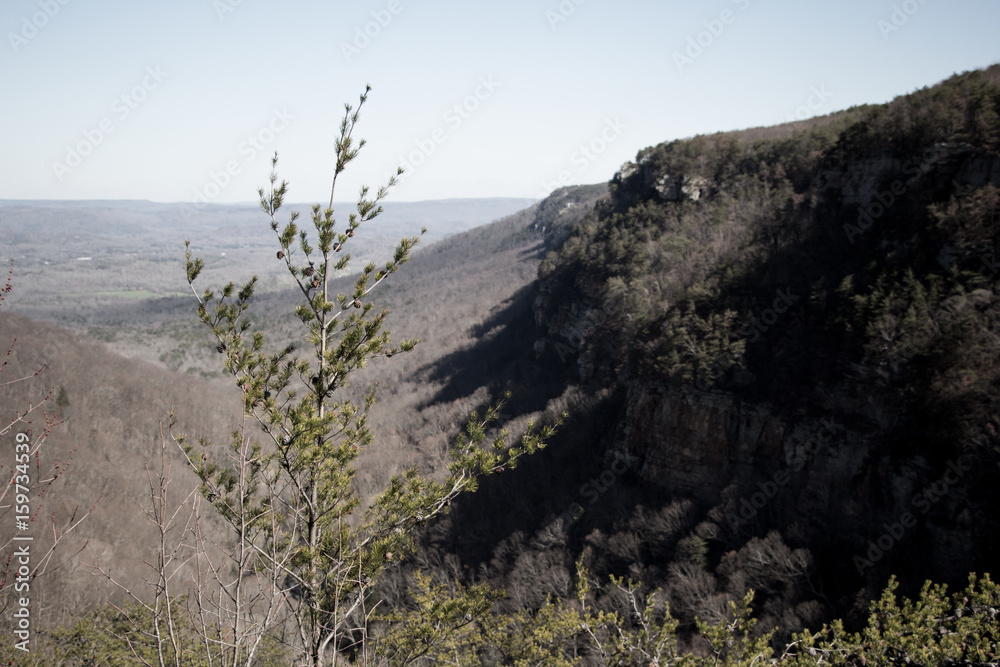 Cloudland Canyon