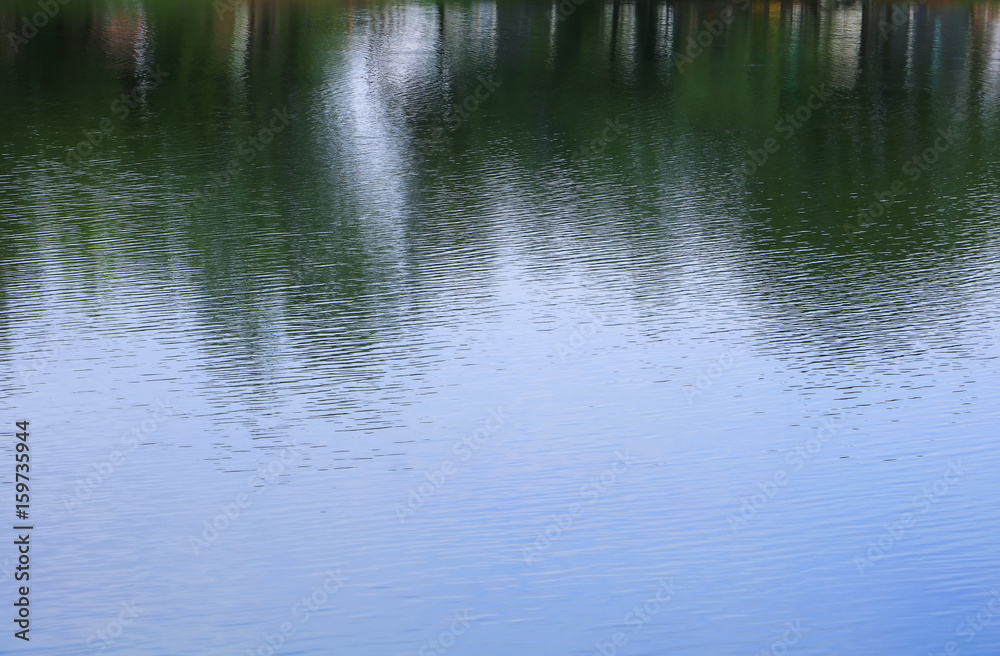 water reflection with shadow tree and sky in public park water reflection with shadow tree and sky in public park