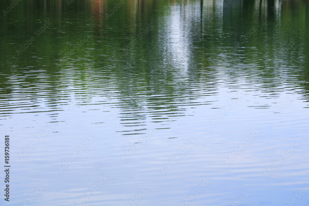 Fototapeta premium water reflection with shadow tree and sky in public park