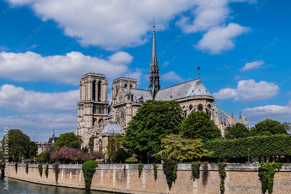 View of Cathedral Notre Dame de Paris - a most famous Gothic, Roman Catholic cathedral (1163 - 1345) on the eastern half of the Cite Island.