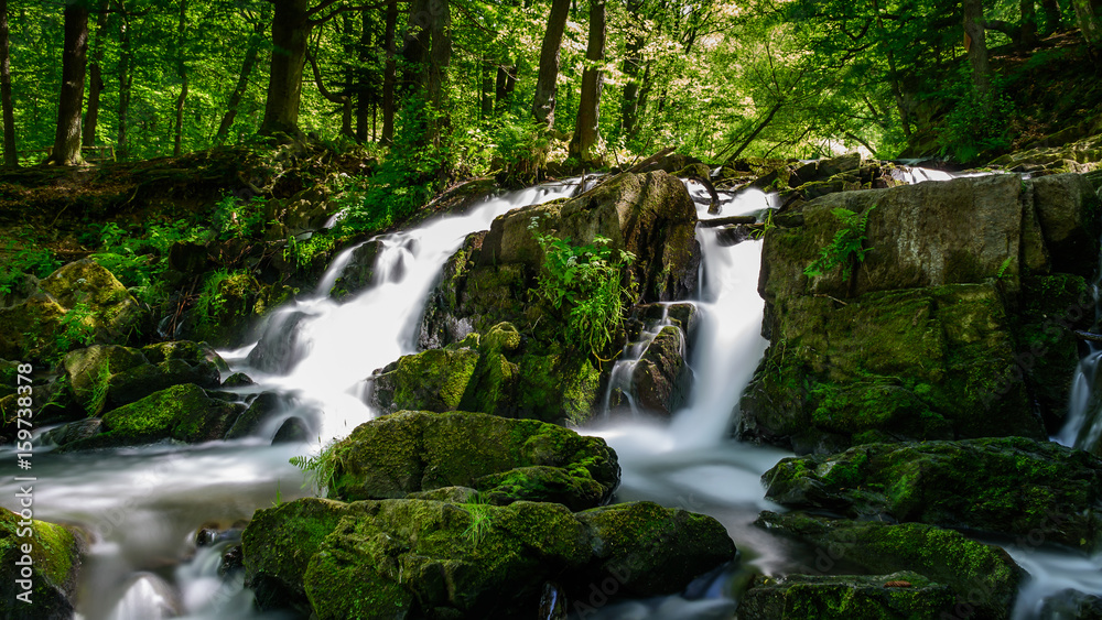 Fototapeta premium Selkefall