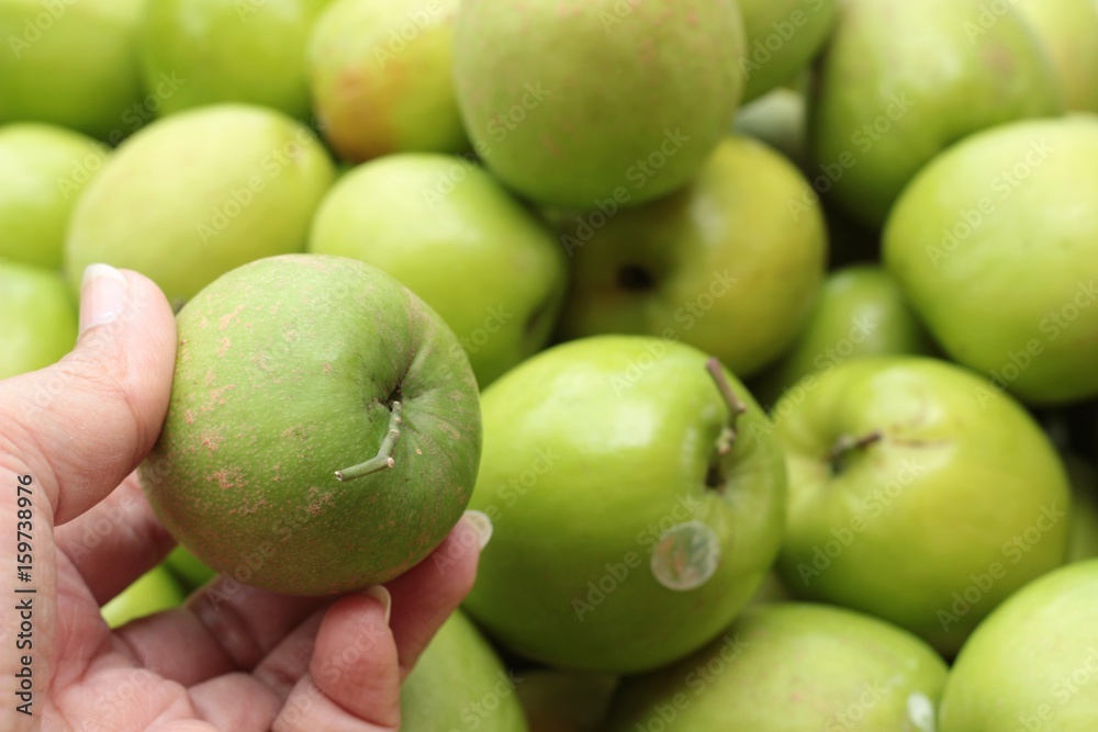 Green apples is delicious heaped a lot . Green apples is delicious heaped a lot .