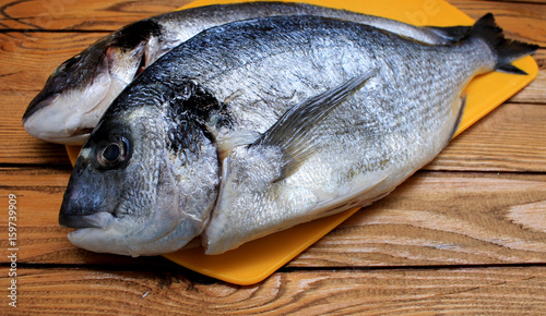 Dorado fish, sea bass prepared for cooking photo