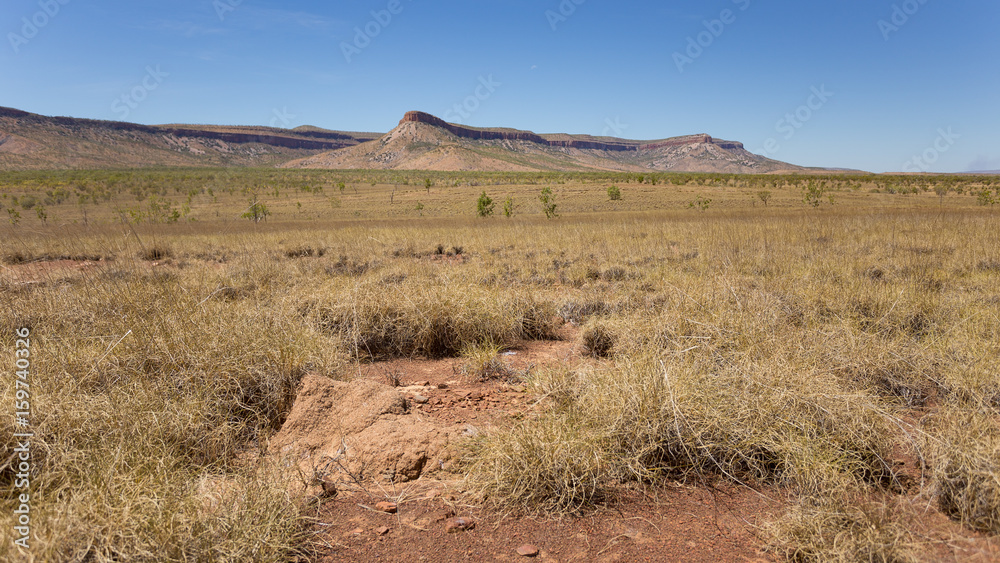 The Ramparts of the Cockburn Range stand high and proud above the ancient Kimberley landscape, concealing hidden waterfalls that plunge from the high plateau in hidden valleys. The Ramparts of the Cockburn Range stand high and proud above the ancient Kimberley landscape, concealing hidden waterfalls that plunge from the high plateau in hidden valleys.