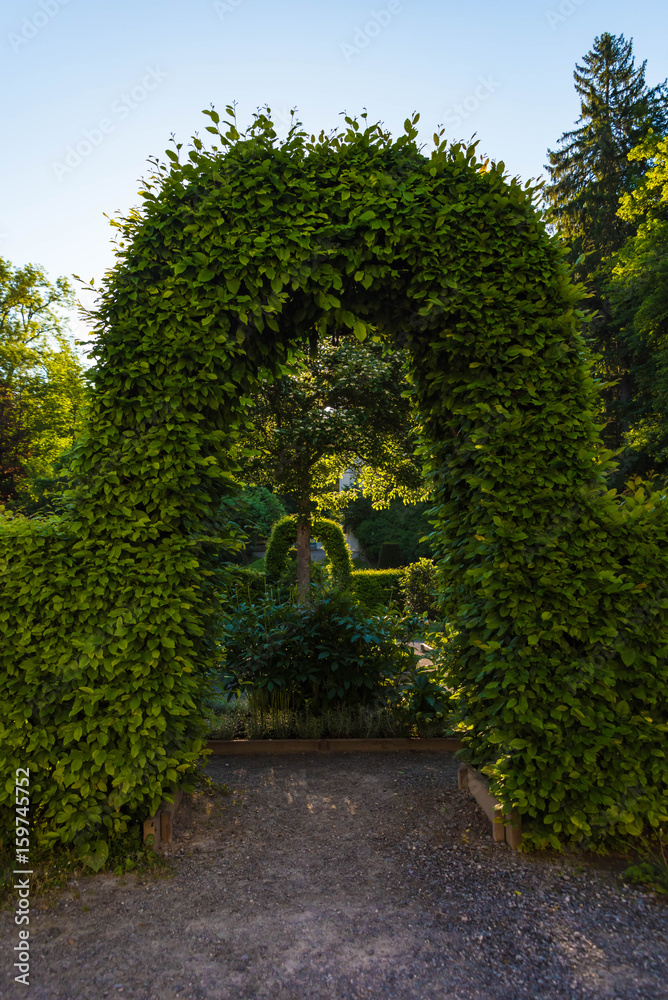Fototapeta premium Gartenanlage im Gegenlicht