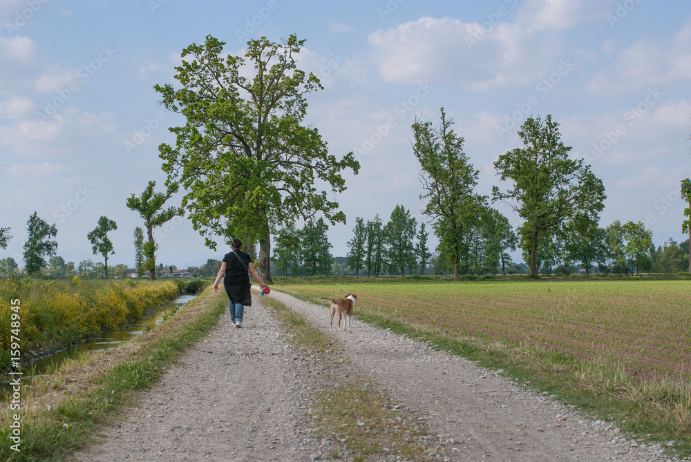 Fototapeta premium signora cammina con il cane