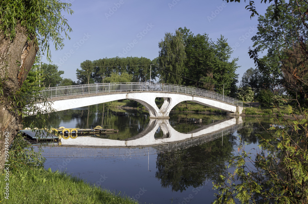 Trees river bridge in the early morning Trees river bridge in the early morning