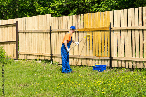 Workman paints wooden fence with a paint roller in garden © Anna