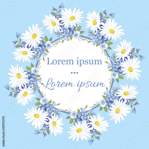 Flower postcard with a wreath of white daisies, round frame, place for text, blue background.