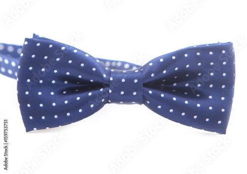 mens dark blue bow-tie with white peas isolated on a white background