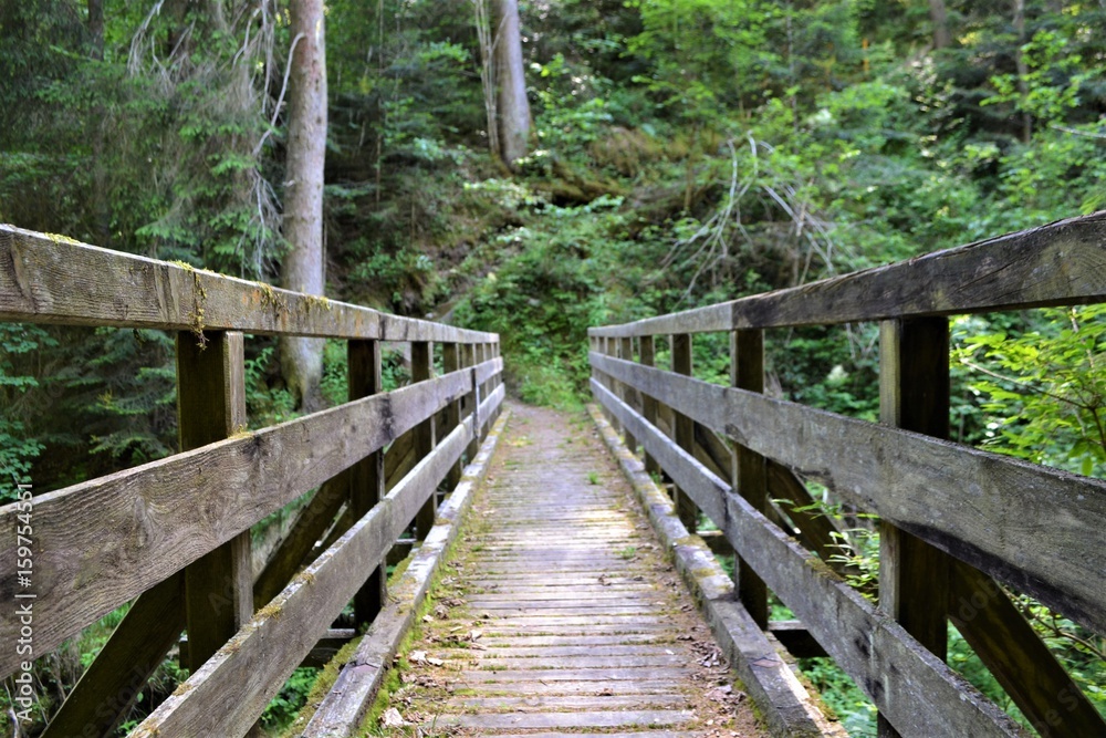 Holzbrücke im Wald Holzbrücke im Wald