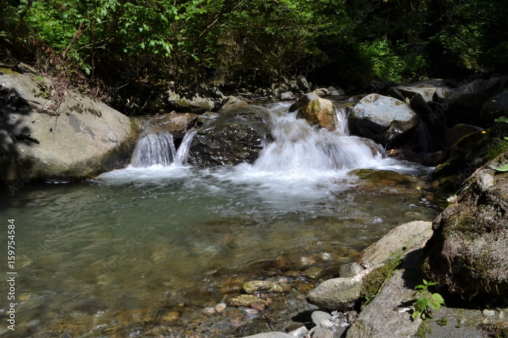 Fototapeta premium Bach in der Natur