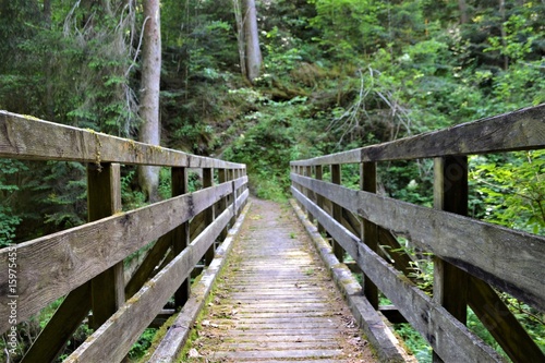 Holzbrücke im Wald