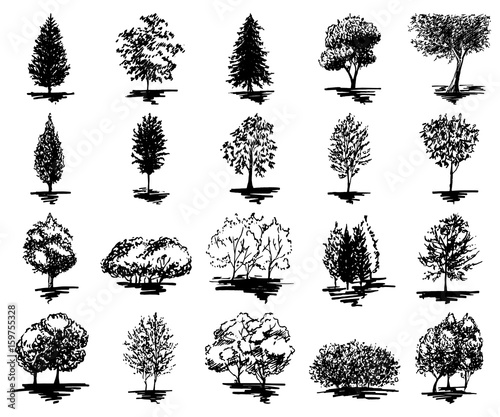 Monochrome tree silhouette sketched line art set isolated vector