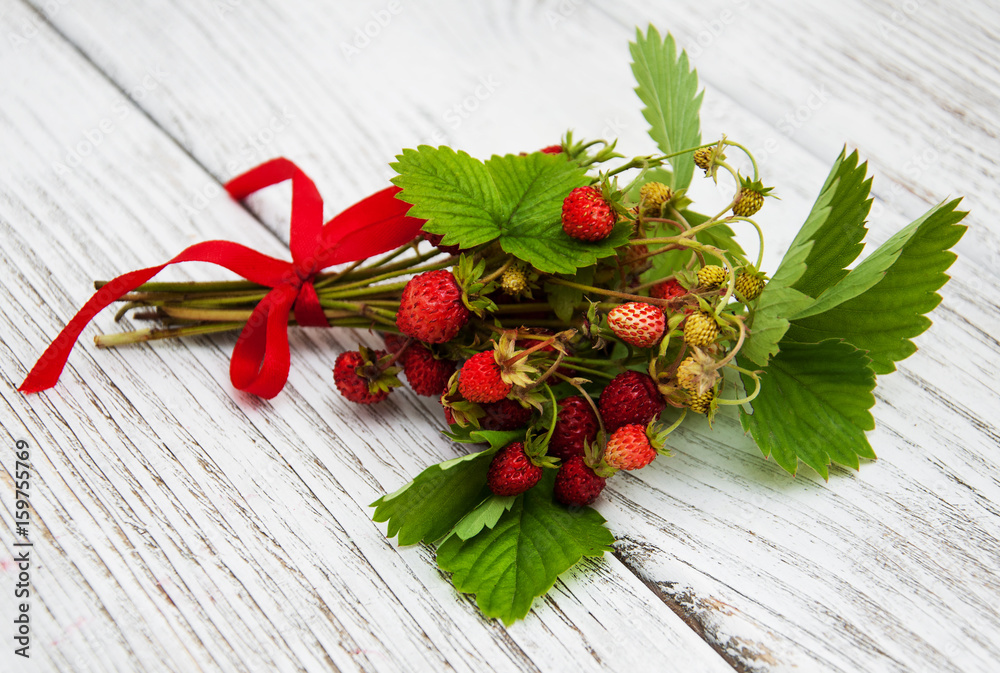 bunch of wild strawberry