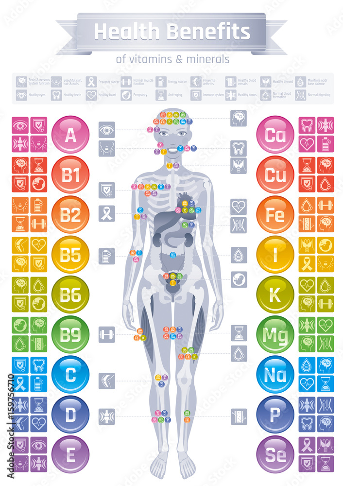Mineral Vitamin effect icons. Health benefit flat vector icon set text  letter logo isolated white background. Table illustration medicine  healthcare chart. Medical Infographics diagram. Human body eps Stock Vector  | Adobe Stock
