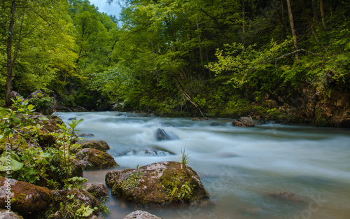 ND filter photo. Milk water flow rapid stream. Caucasus rocky mountain river in forest. photo