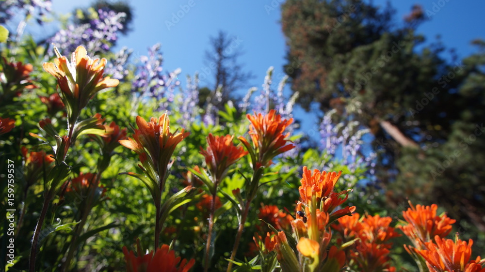 Exploring Washington, The great pacific northwest