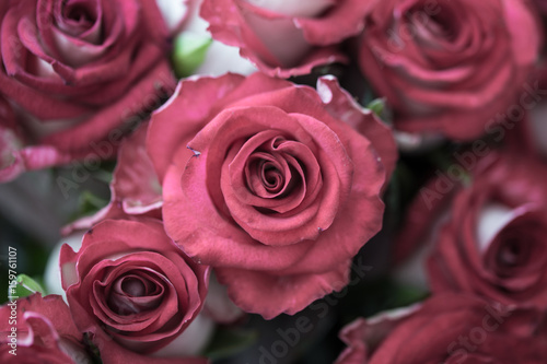 Bouquet of fresh roses  flower bright background  close-up